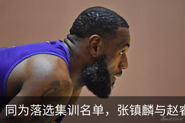 同为落选集训名单，张镇麟与赵睿的境遇差异何在？